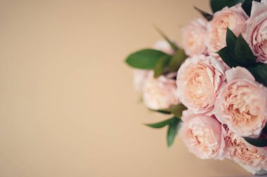 Pembe renkli şakayıklardan oluşan zarif bir buket. Her bayram için güzel bir çiçek. Bir sürü güzel ve romantik çiçek..