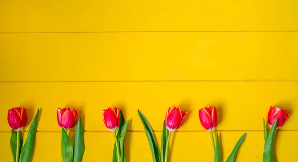 Spring flowers banner. Red tulip and green leaves on yellow rustic table. Easter day background.