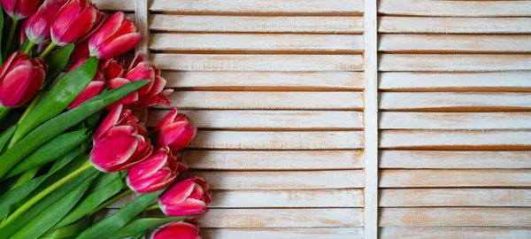 Bannière Fleurs Printemps Tulipe Rouge Feuilles Vertes Sur Table Rustique — Photo