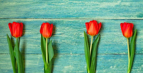 Spring flowers banner. Red tulip and green leaves on rustic table. Easter day background.