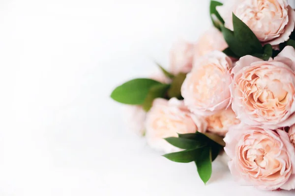 Bellissimi Fiori Peonie Bouquet Sfondo Peonia Rosa — Foto Stock