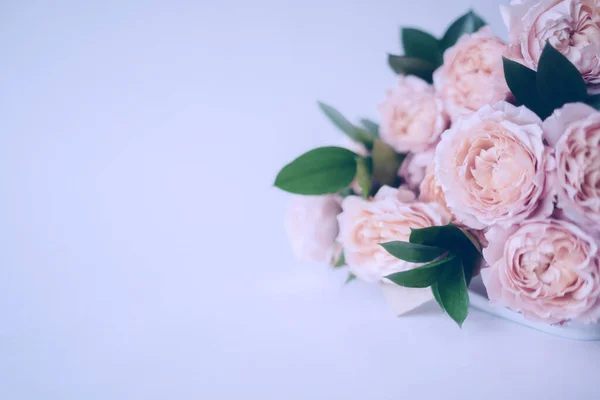 Beautiful flowers, peonies. Bouquet of pink peony background.