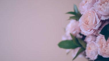 Pembe renkli şakayıklardan oluşan zarif bir buket. Her bayram için güzel bir çiçek. Bir sürü güzel ve romantik çiçek..