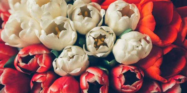 Millésime Floral Avec Fleurs Tulipes Sur Fond Sombre Modèle Pour — Photo