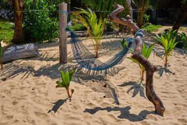 Tropik plaj. Kırsal tropik sahil evinde hamak. Özgürlük ve hippiler plajda dinlenir ve özgürlüğün ve güzel havanın tadını çıkarırlar..