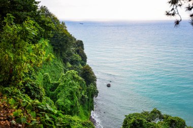 Okyanusa bakan taze yeşil bitkileri olan güzel bir tropikal bahçe. Tropik botanik bahçesi.