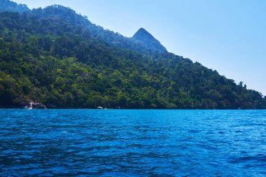 Malezya 'nın güzel doğa manzarası. Yağmur ormanları, dağlar, okyanus. Manzara. Tropikal Tioman adasını keşfediyorum. Seyahat konsepti ve fikri. Güzel turkuaz okyanus.