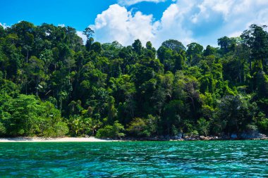 Yağmur ormanlarının manzarası, okyanus manzarası. Hint Okyanusu 'ndaki tropik ada. Palmiye ağaçları olan ıssız ve vahşi subtropikal bir ada. Tropikal bir adada boş kum..