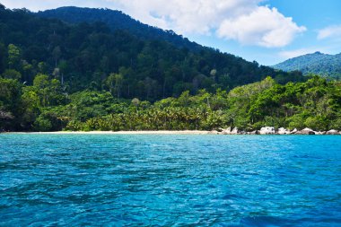 Yağmur ormanlarının manzarası, okyanus manzarası. Hint Okyanusu 'ndaki tropik ada. Palmiye ağaçları olan ıssız ve vahşi subtropikal bir ada. Tropikal bir adada boş kum..