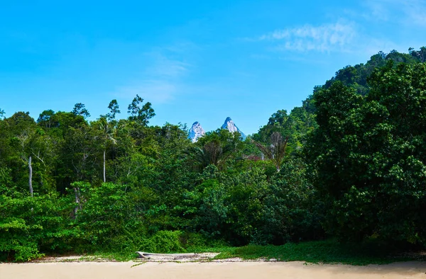 Ilha Tropical Tioman Malásia Mar Sul China Sudeste Asiático Ilha — Fotografia de Stock