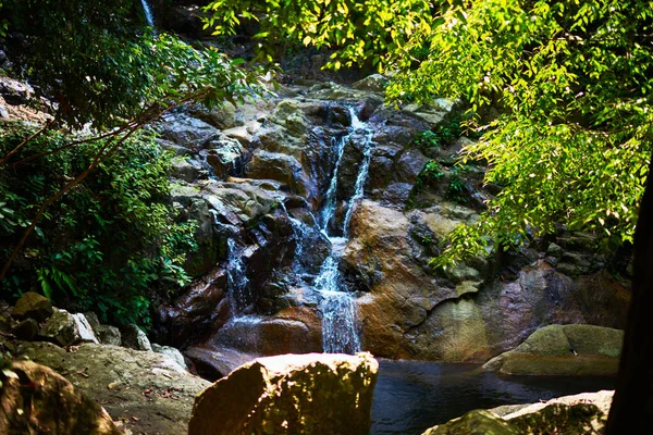 Vue Sur Ruisseau Cascade Forêt Profonde Cascade Forêt Cascade Forêt — Photo