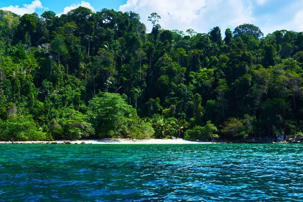 热带雨林线的景观 从海洋 印度洋的热带岛屿 荒无人烟的亚热带荒岛 有棕榈树 热带岛屿上的空白沙滩 — 图库照片