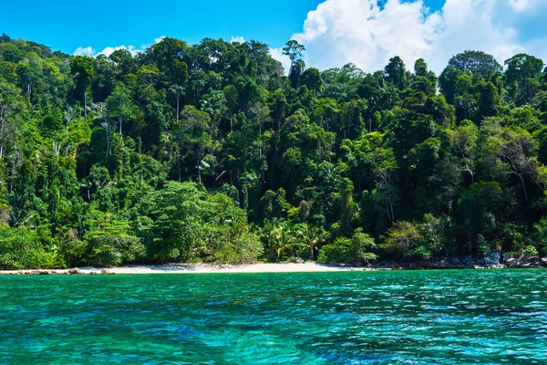 夏天在热带岛屿的海滩上 蓝天白云 新的一天的新鲜 明亮的蓝色背景 Wiev 海滩上的椰子树 — 图库照片