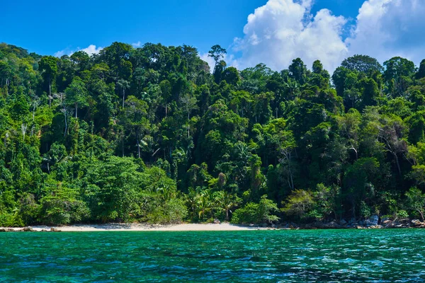 Paisaje Línea Selva Tropical Desde Océano Isla Tropical Océano Índico —  Fotos de Stock
