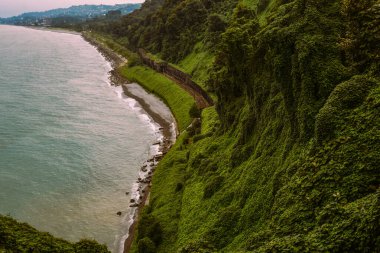Batum kıyısı. Botanik bahçesinden manzara. Batumi Botanik Bahçesi, Georgia 'da yeşil ormanlarla kaplı yamacın eteklerinde..