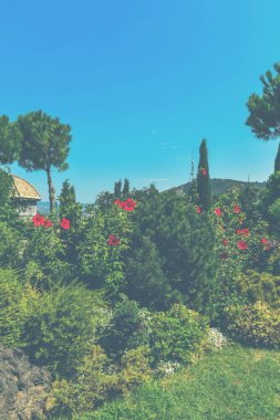 Gürcistan 'ın başkenti Tiflis' teki Gürcistan Ortodoks Kilisesi 'nin tapınak kompleksindeki güzel bahçe..