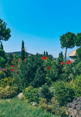 Gürcistan 'ın başkenti Tiflis' teki Gürcistan Ortodoks Kilisesi 'nin tapınak kompleksindeki güzel bahçe..