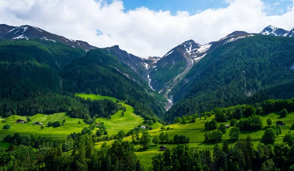 山脈だスイスの山の中で高山草原の美しい景色 牧草地 斜面の牧草地 雪に覆われた山々 — ストック写真