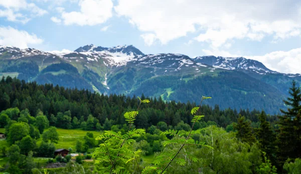 Bergketen Prachtig Uitzicht Alpenweiden Zwitserse Bergen Weiden Weiden Pistes Besneeuwde — Stockfoto