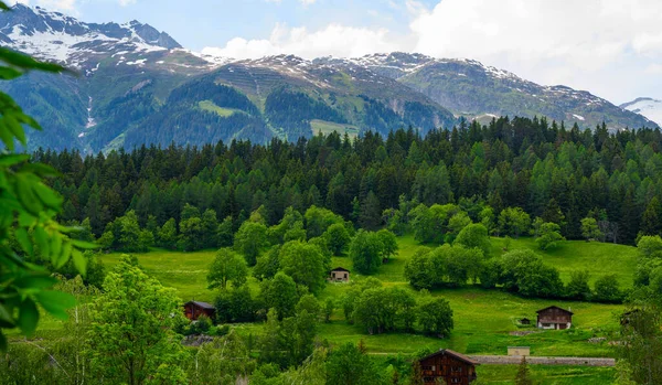 Горный Массив Прекрасный Вид Альпийские Луга Швейцарских Горах Пастбища Луга — стоковое фото
