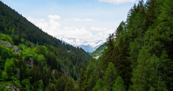 山へのパノラマビュー 雪が背景にアルプスの山々を覆った スイス ヨーロッパ — ストック写真