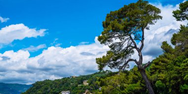 Portofino yakınlarındaki Ligurian deniz kıyısında. Güneşli bir yaz günü, Liguria, İtalya. Muhteşem bir yaz manzarası. Adriyatik Denizi 'nin renkli deniz manzarası. Seyahat konsepti arka planı.