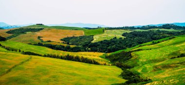 Gökyüzü bulutlu, panoramik bir yaz günü. Toskana kırsal arazisi. Kırsal bölgeler, selvi ağaçları, yeşil tarlalar, güneş ışığı ve bulut. İtalya, Avrupa. Tonu ayarlanmış görüntü filtre efekti.