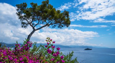 Portofino yakınlarındaki Ligurian deniz kıyısında. Güneşli bir yaz günü, Liguria, İtalya. Muhteşem bir yaz manzarası. Adriyatik Denizi 'nin renkli deniz manzarası. Seyahat konsepti arka planı.