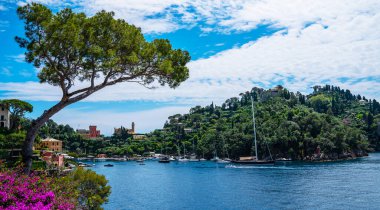 Muhteşem körfezi, Akdeniz bahçesindeki lüks villaları, kayaları ve tekneleri, muhteşem tatil beldesindeki yatları, Portofino 'yu, Liguria' yı, İtalya 'yı, Avrupa' yı gösteren manzara resmi..