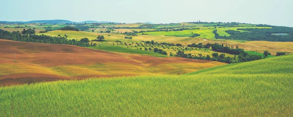 Toskanische Dorflandschaft Einem Sonnigen Tag Italien Schöne Grüne Hügel Und — Stockfoto