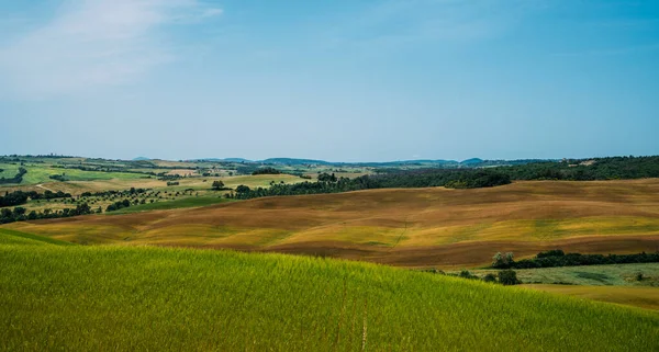 Paisaje Del Pueblo Toscana Día Sol Italia Hermosas Colinas Verdes — Foto de Stock