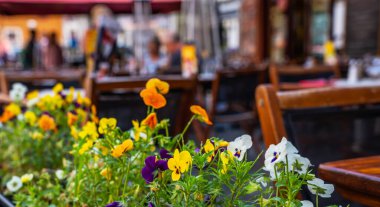 Tipik Alp kasabası manzarası. Arka planda mavi masalarla süslenmiş çiçekler ve kafeterya sandalyeleriyle dolu bir sokak. Mimari ve dönüm noktası. Alp köyündeki eski ve rahat caddenin manzarası.