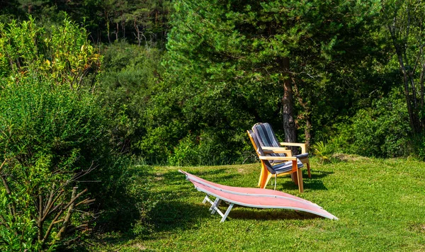 Dwa Krzesła Bujnej Zielonej Przyrody Ogród Piękny Ogród Podwórkowy Patio — Zdjęcie stockowe