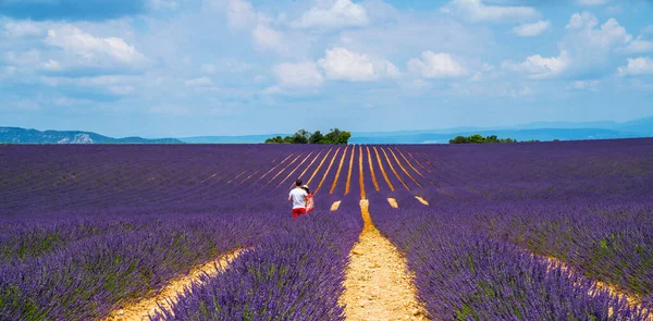 Roxo Florescendo Lavanda Campo Provence França Dia Ensolarado Com Belo — Fotografia de Stock