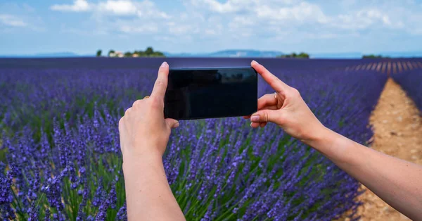 フランスのプロヴァンスの紫色の開花ラベンダー畑の写真を撮る女性の手のスマートフォン 夏休み旅行の背景 — ストック写真