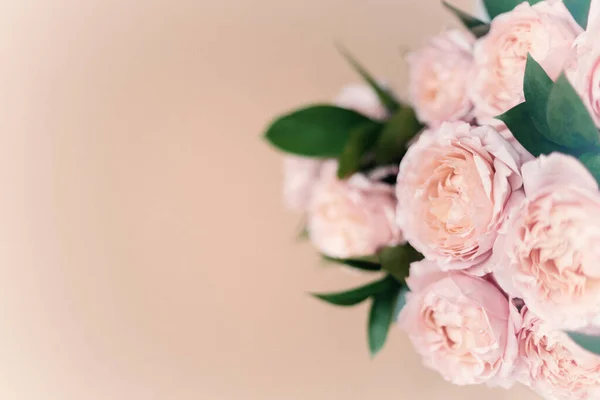 De Belles Fleurs Des Pivoines Bouquet De Fond Pivoine Rose Fre Lumiere La Tendresse Stock Photo De Belles Fleurs Des Pivoines Bouquet De Fond Pivoine Rose Fre Lumiere La Tendresse Stock Photo
