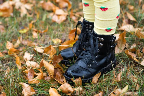 Child Feet and Legs Standing in Autumn Leaves