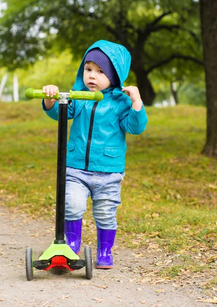 Küçük çocuk su geçirmez ceket ve botları sarı yapraklarda tekme scooter sürme. 
