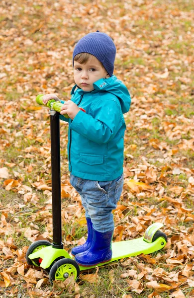 Oynama ve sonbahar Park scooter sürme küçük çocuk
