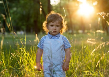 Sarışın çocuk mutlu çocuk günbatımı niteliğine sahip. Parkta üzerinde yürüyen güzel sevimli küçük yürümeye başlayan çocuk. Çayır güneşli bir akşam mutlu komik çocuk. Doğa, açık havada, yaz. Boş alan