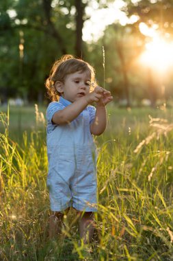 Sarışın çocuk mutlu çocuk günbatımı niteliğine sahip. Parkta üzerinde yürüyen güzel sevimli küçük yürümeye başlayan çocuk. Çayır güneşli bir akşam mutlu komik çocuk. Doğa, açık havada, yaz. Boş alan