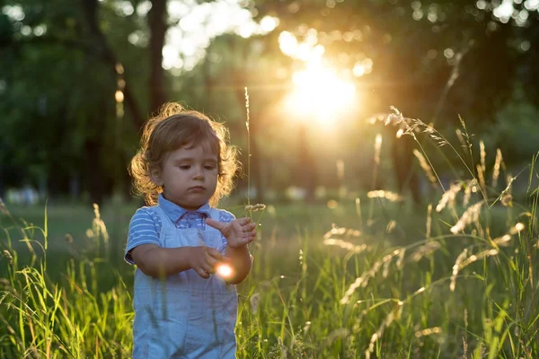 Menino Loiro Feliz Apreciando Pôr Sol Natureza Linda Criança Adorável — Fotografia de Stock