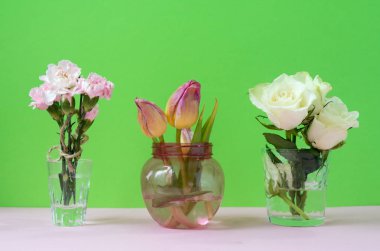 Gözlük ve vazolar yeşil zemin üzerine farklı güzel çiçekler. Pembe ve Beyaz Lale, gül ve karanfil