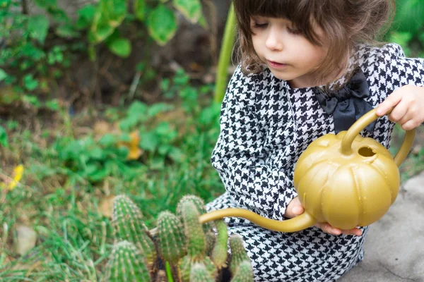 Kleines Mädchen Das Pflanzen Einem Garten Gießt Frühlingskonzept Natur Und — Stockfoto