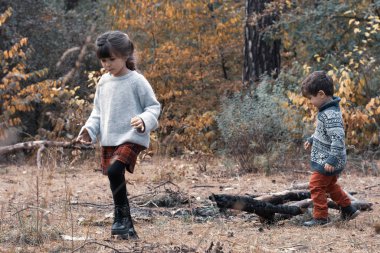 Ormanda yürüyüş yapan iki çocuk. Bebeklerle ve küçük çocuklarla yürüyüş yapmak. İlk yürüyüş, macera ekibi. Çocuk ormanlık aktiviteleri.  
