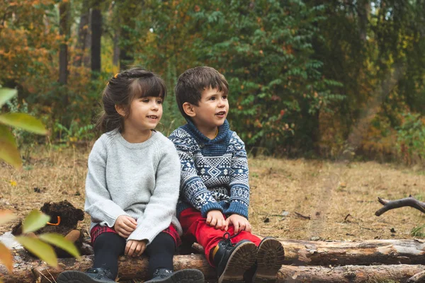 Zwei Kinder Wandern Wald Wandern Mit Kleinkindern Und Kleinkindern Natürliches — Stockfoto