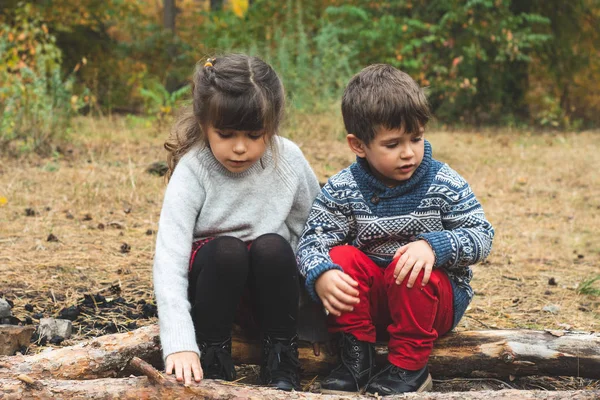Två Barn Som Vandrar Skogen Vandring Med Småbarn Och Småbarn — Stockfoto