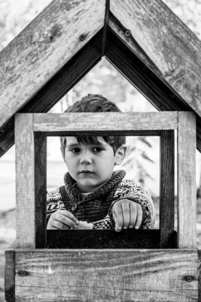 Little Toddler Boy Feeding Birds Birds Feeder Love Respect Nature — Stock Photo, Image