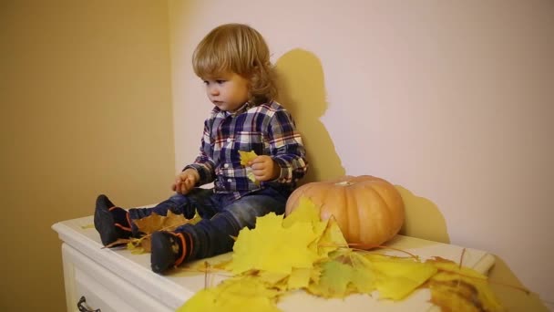 Милый мальчик с тыквой играет с листьями на Хэллоуин — стоковое видео