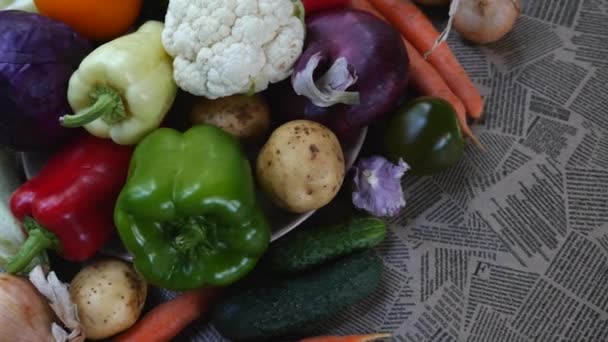 Légumes frais : chou, carotte, maïs, concombre, ail, oignon, poivre, pommes de terre, salade, tomate, champignons. La caméra passe lentement devant — Video